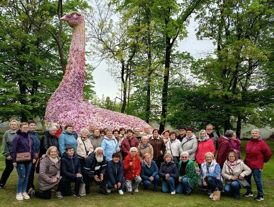 Seniorzy z Kolonowskiego odkrywali uroki Dolnego Śląska Seniorzy z Kolonowskiego odkrywali uroki Dolnego Śląska