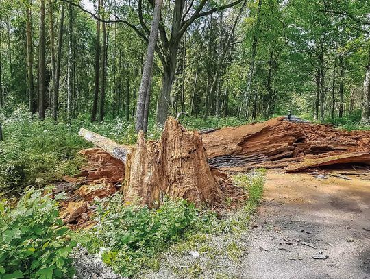 Spełnił się czarny scenariusz