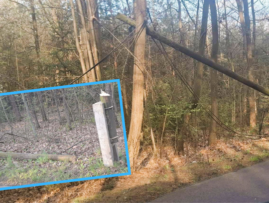 Zniszczone słupy i zerwane kable w Osieku. Złodzieje liczyli na szybki zysk?