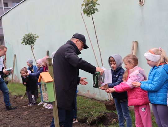 Strzelce Opolskie wśród czystych i zielonych miast