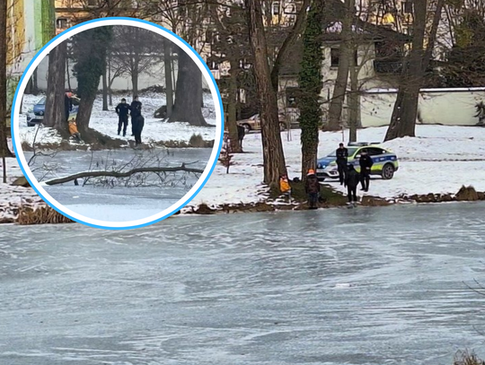 Niebezpiecznie w strzeleckim parku. 61-latek jeździł na łyżwach po stawie