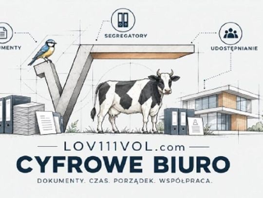 System zarządzania dokumentami w firmie - jak usprawnić cyfrową archiwizację danych?