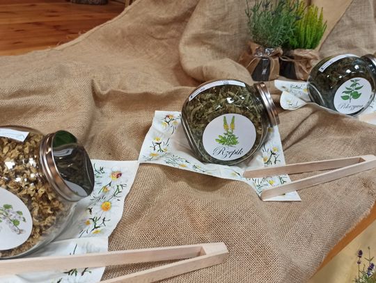 Szukamy starych przepisów