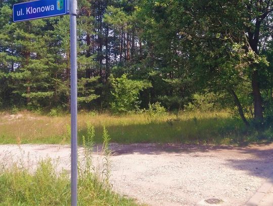 Te drogi w gminie Kolonowskie wkrótce doczekają się remontów. Jakie?