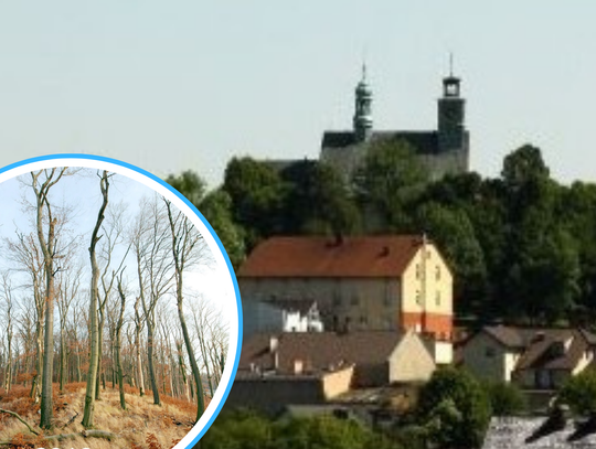 Tunel pod Górą Świętej Anny? Stare błędy można naprawić