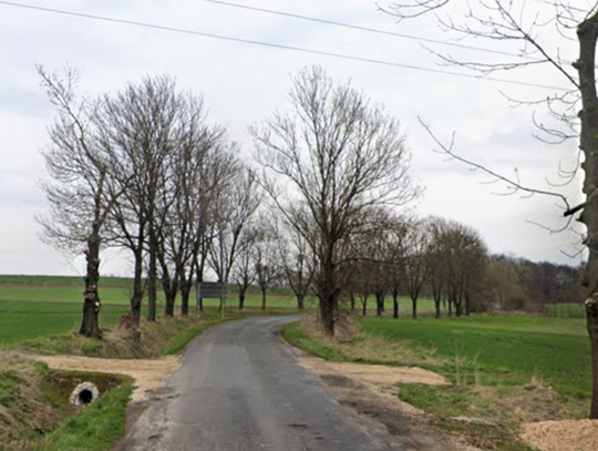 Uwaga kierowcy, szykuje się wycinka drzew przy drodze