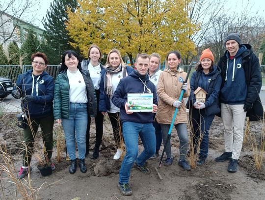 W Strzelcach Opolskich powstał kwietny zakątek. Będzie cieszyć oczy na wiosnę