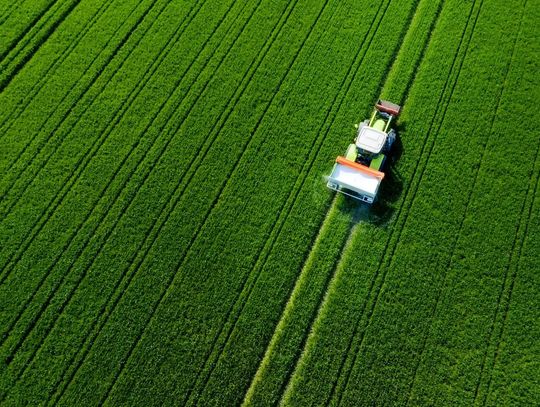 Wapno węglanowe – klucz do lepszego wykorzystania nawozów NPK