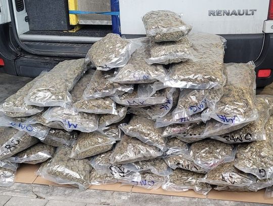 Wielki przemyt narkotyków zatrzymany na autostradzie A4! Ich wartość to około 2 mln zł