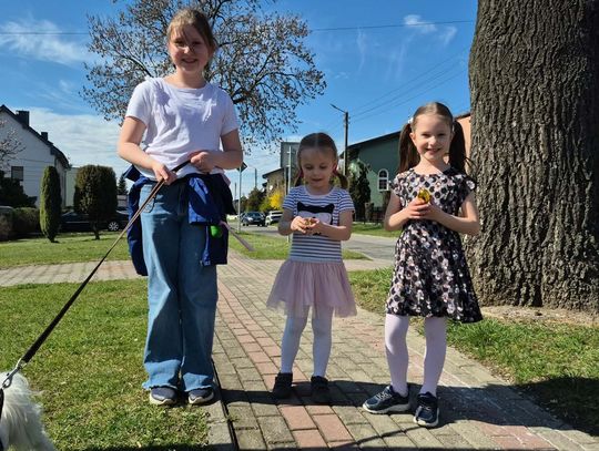 Wielkie poszukiwania w Nowej Wsi. Mieszkańcy ruszyli tropem złotych jajek