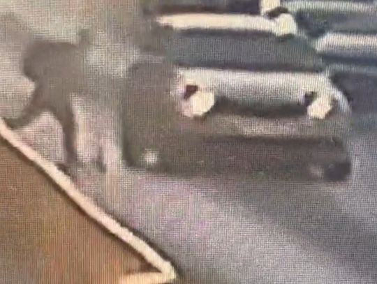 Wjechał hulajnogą prosto na przejście. Zderzył się z samochodem