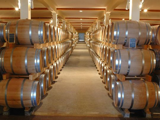 Wybór odpowiedniego destylatora – na co zwrócić uwagę?