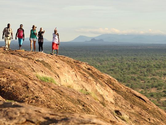 Wycieczki do Kenii w stylu Saruni – przygodowa wyprawa przez krainy Masai Mara i Samburu