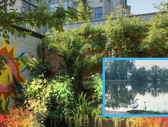 Więcej zieleni i strefy relaksu. Szykują się nowe inwestycje w Strzelcach Opolskich Więcej zieleni i strefy relaksu. Szykują się nowe inwestycje w Strzelcach Opolskich