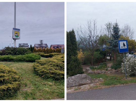 Ładniej w Zalesiu Śląskim. Mieszkańcy zadbali o tereny zielone