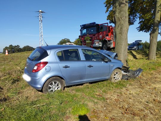 Niebezpieczne zdarzenie w Zalesiu Śląskim. Samochód uderzył w drzewo