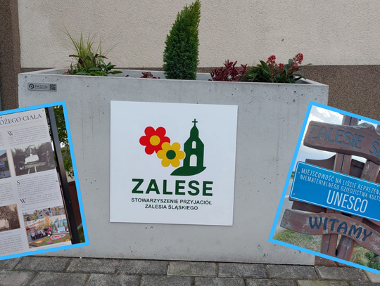 Zalesie Śląskie ma swoje stowarzyszenie. Działa na rzecz miejscowości i dywanów kwietnych Zalesie Śląskie ma swoje stowarzyszenie. Działa na rzecz miejscowości i dywanów kwietnych