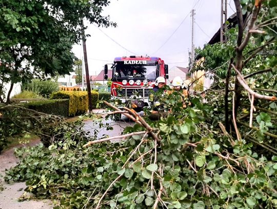 Zerwany konar zatarasował drogę w Kadłubie. Usunęli go druhowie OSP
