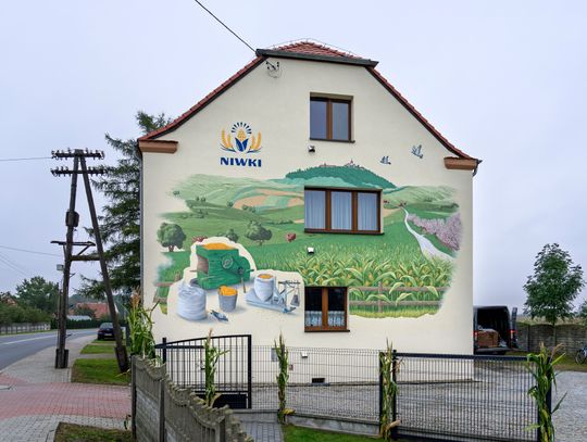 Złoto z Niwek na muralu. Mieszkańcy upamiętnili swoją rolniczą dumę