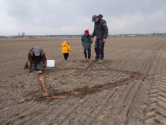 Znów wysiewali serca z krzyżami na polach Ujazdu i Strzelec Opolskich