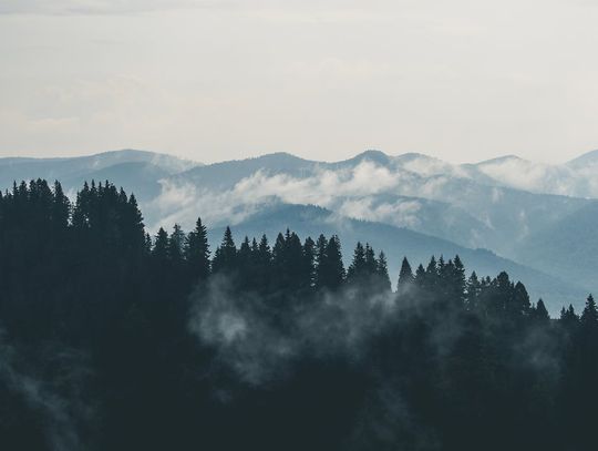 Zorganizowanie wycieczki w góry: to musisz wiedzieć!