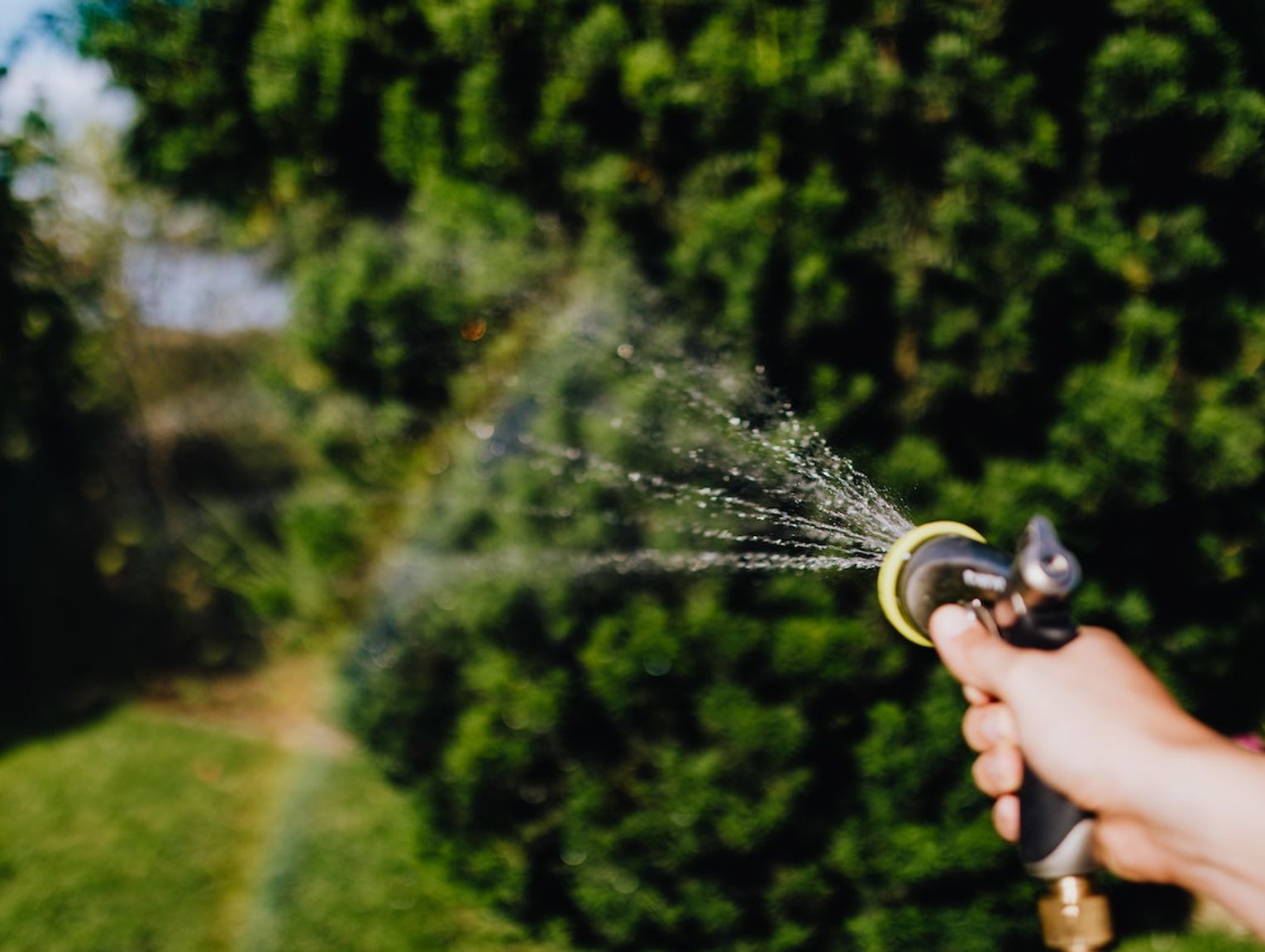 Rodzaje pomp hydroforowych która będzie odpowiednia dla Ciebie