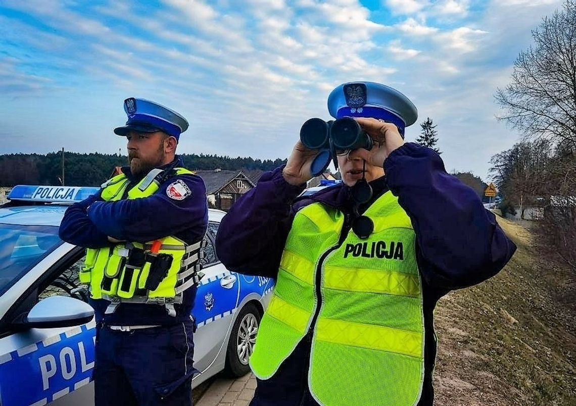 Piraci wyprzedzali na przejściach dla pieszych w Strzelcach Opolskich i Kielczy