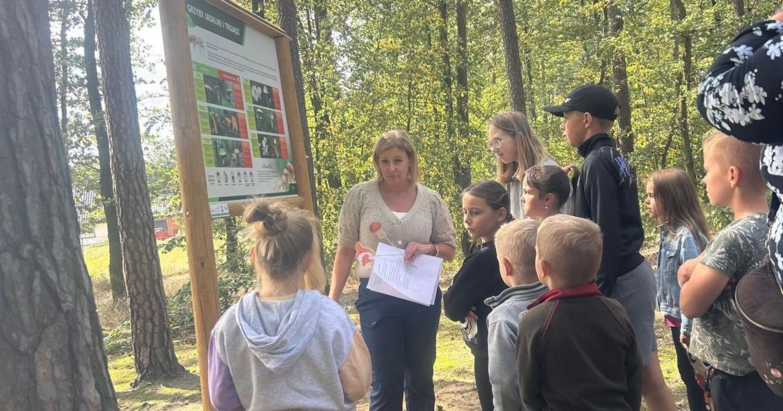 Barut może być kolejną wioską tematyczną w gminie Jemielnica. Chodzi o grzyby