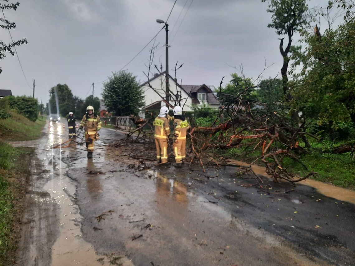 Burze w powiecie strzeleckim. Strażacy OSP Leśnica usuwali powalone drzewo