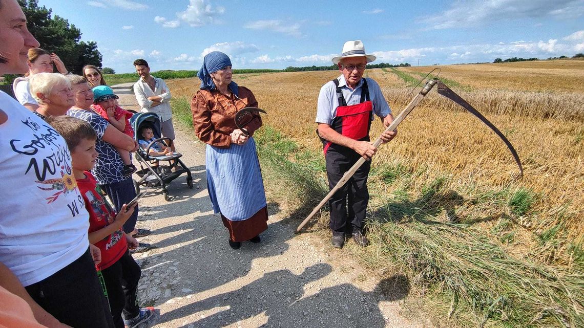 Powrót do przeszłości. W Suchej pokazano, jak wyglądały kiedyś żniwa