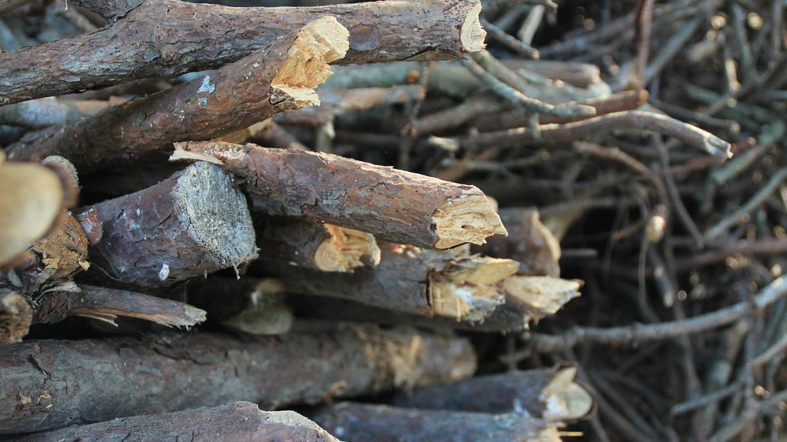 "Chrust plus" w powiecie strzeleckim. Wzrost zainteresowania "gałęziówką"