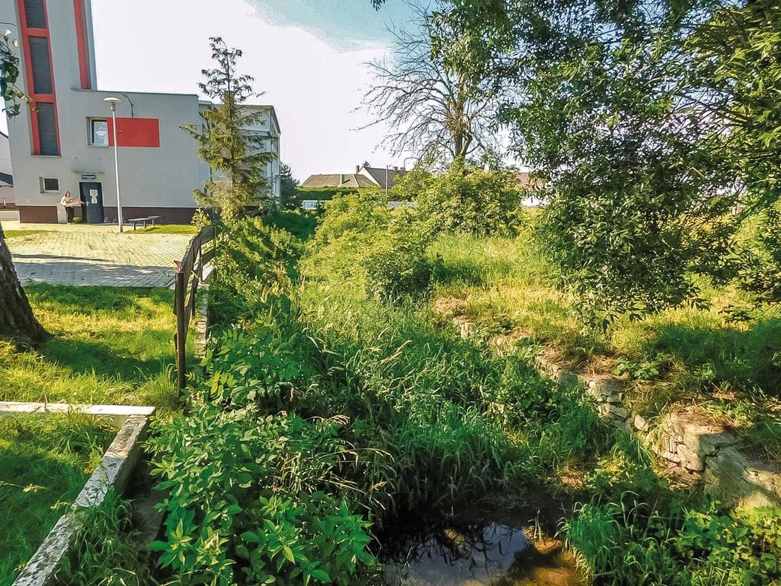 Czy ktoś wreszcie zadba o rzeczkę? Czy ktoś wreszcie zadba o rzeczkę?