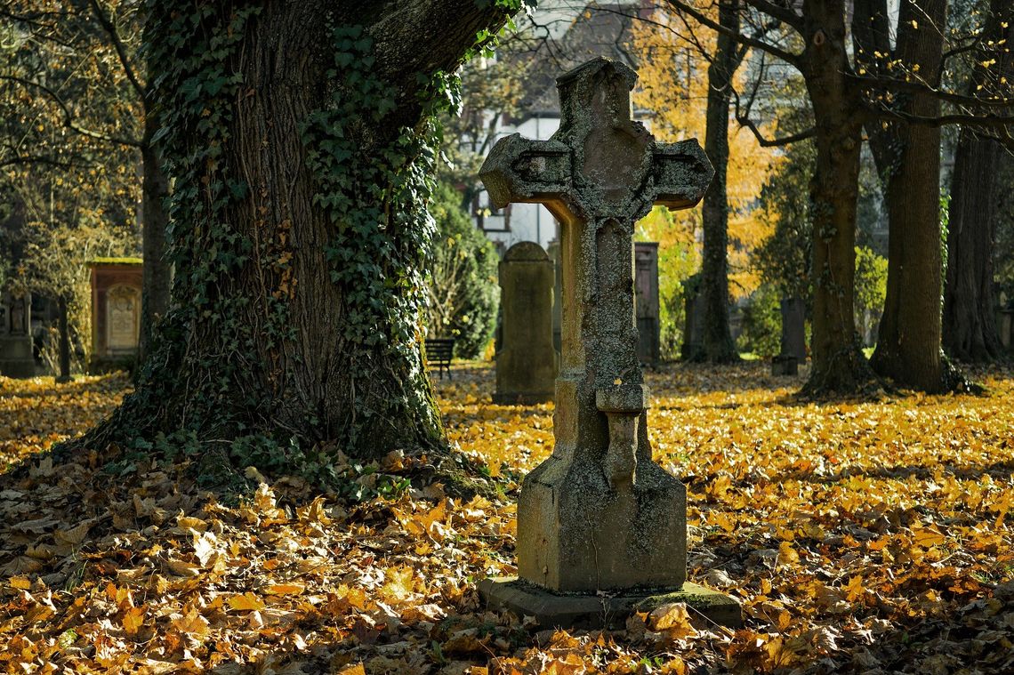 Czy po cmentarzu wypada jeździć rowerem? "To nie droga eksterytorialna"