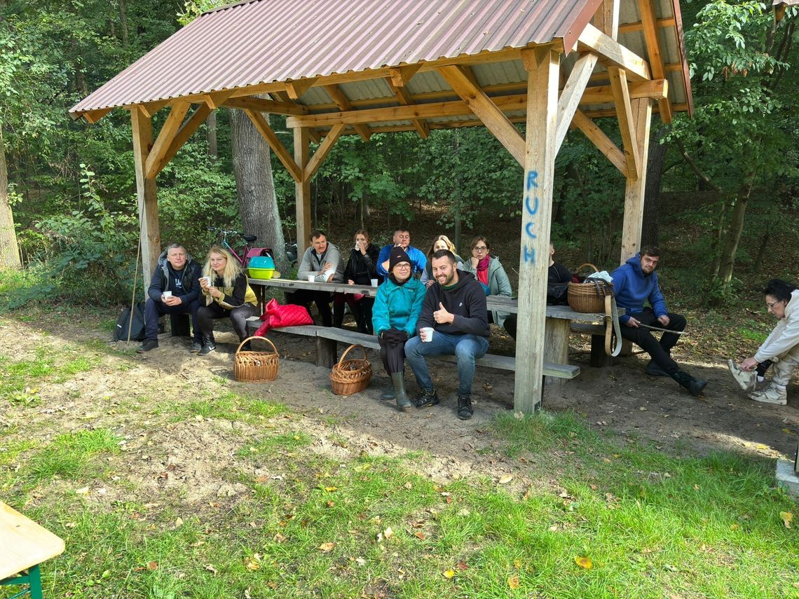 Gminne grzybobranie w Zawadzkiem. Ale zebrano okazy! Gminne grzybobranie w Zawadzkiem. Ale zebrano okazy!