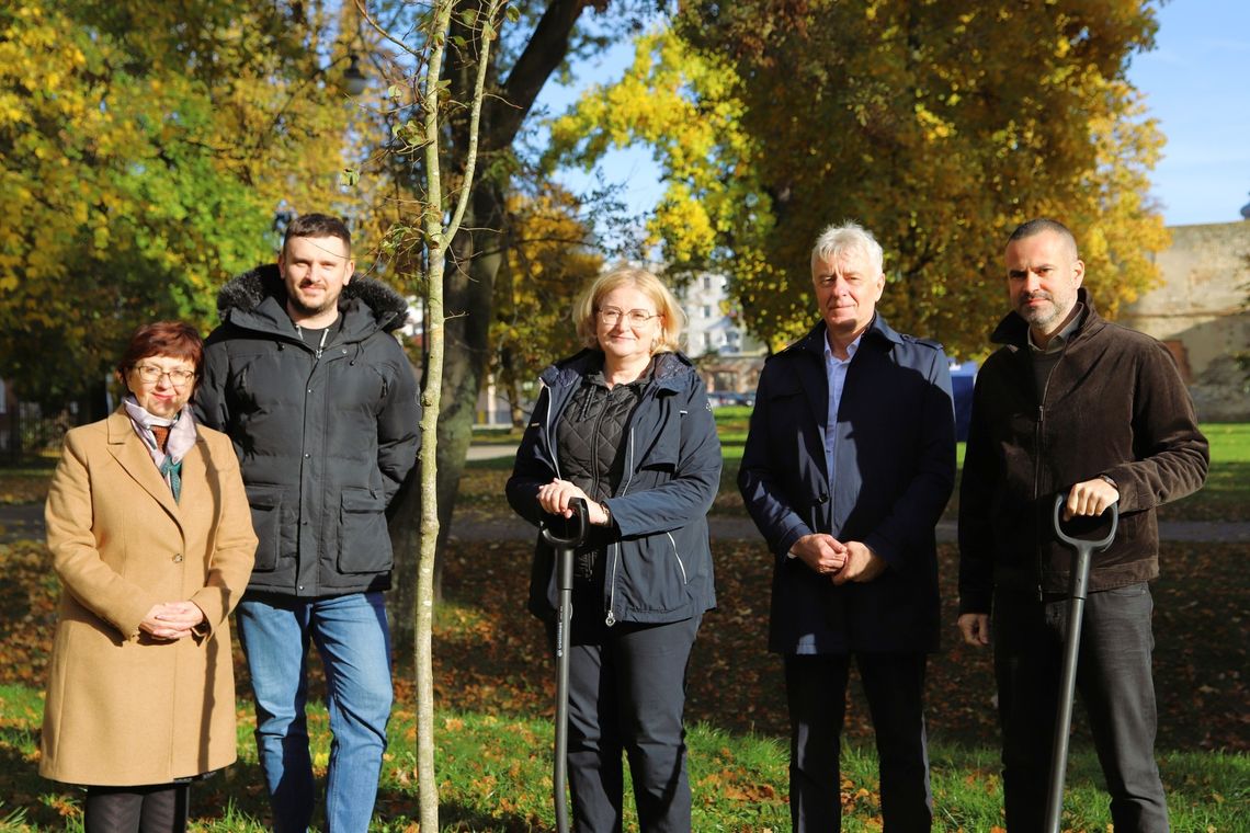 50 nowych drzewek w strzeleckim parku. Posadzono je dzięki cyklicznej akcji 50 nowych drzewek w strzeleckim parku. Posadzono je dzięki cyklicznej akcji