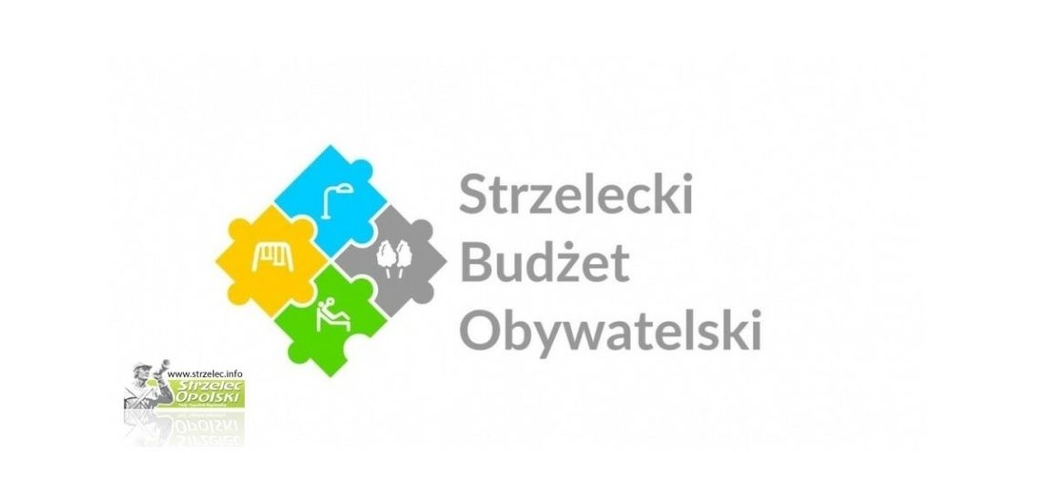 Dziewkowice i Rozmierka zdominowały głosowanie. Znamy projekty, które wygrały w SBO 2022 