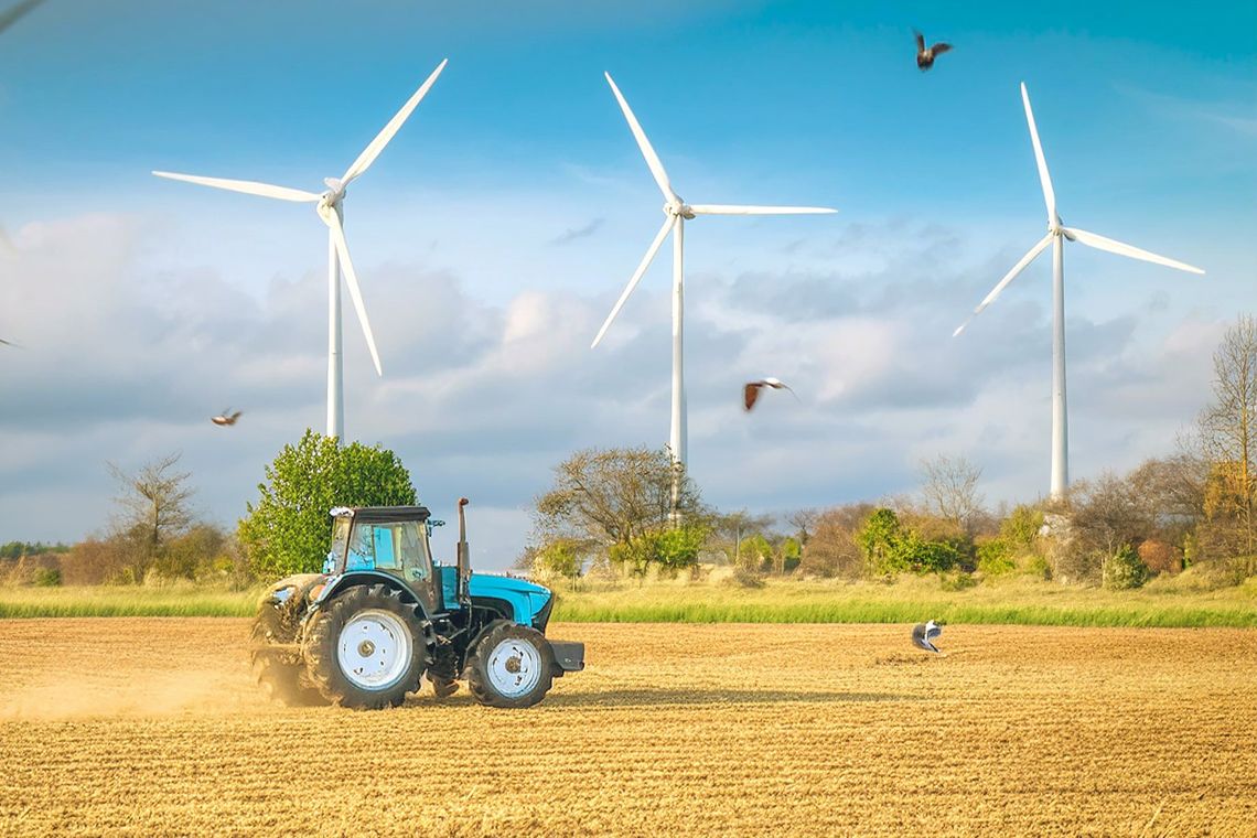 Elektrownie wiatrowe. Plusy przysłaniają minusy