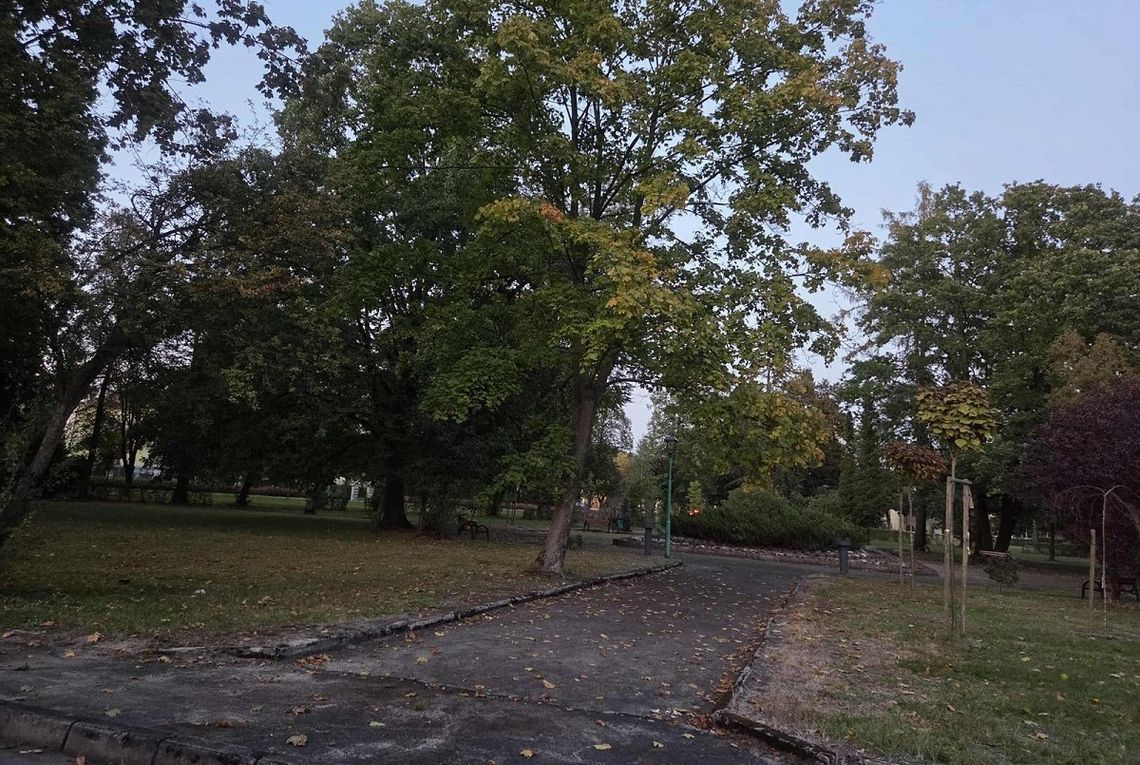 Park w Zawadzkiem przejdzie rewitalizację. Gmina otrzymała prawie 5 mln dotacji