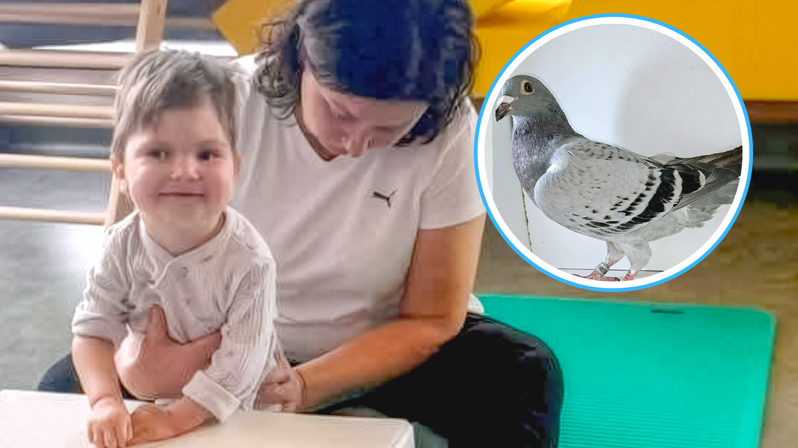 Aukcja gołębi dla Walecznego Pawełka w Kielczy