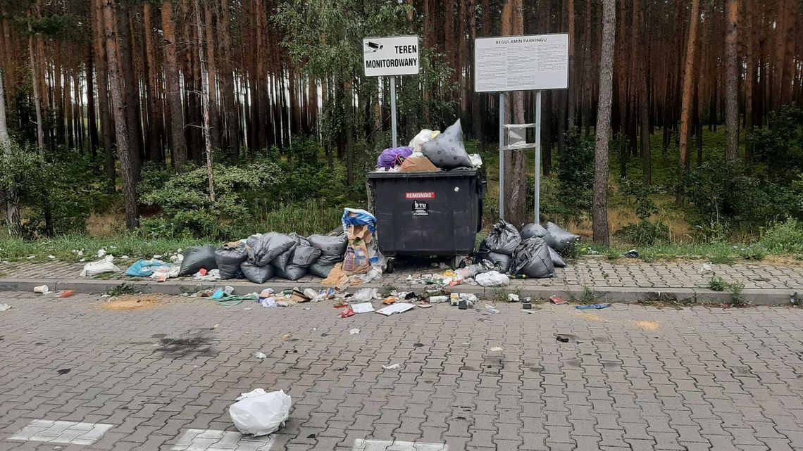 Fotopułapki nie wystarczają. Czy kamery przegonią śmieciarzy?