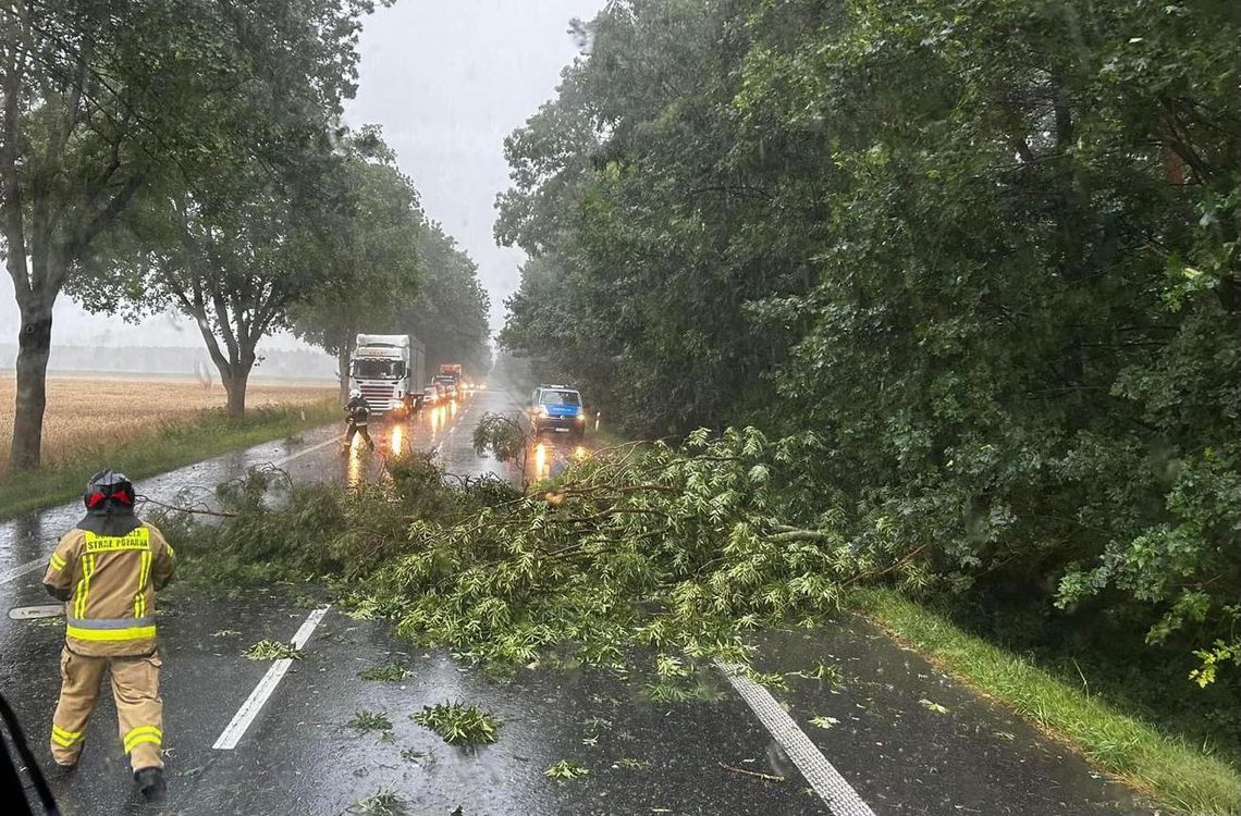 Front burzowy nad powiatem strzeleckim. Głównie połamane drzewa