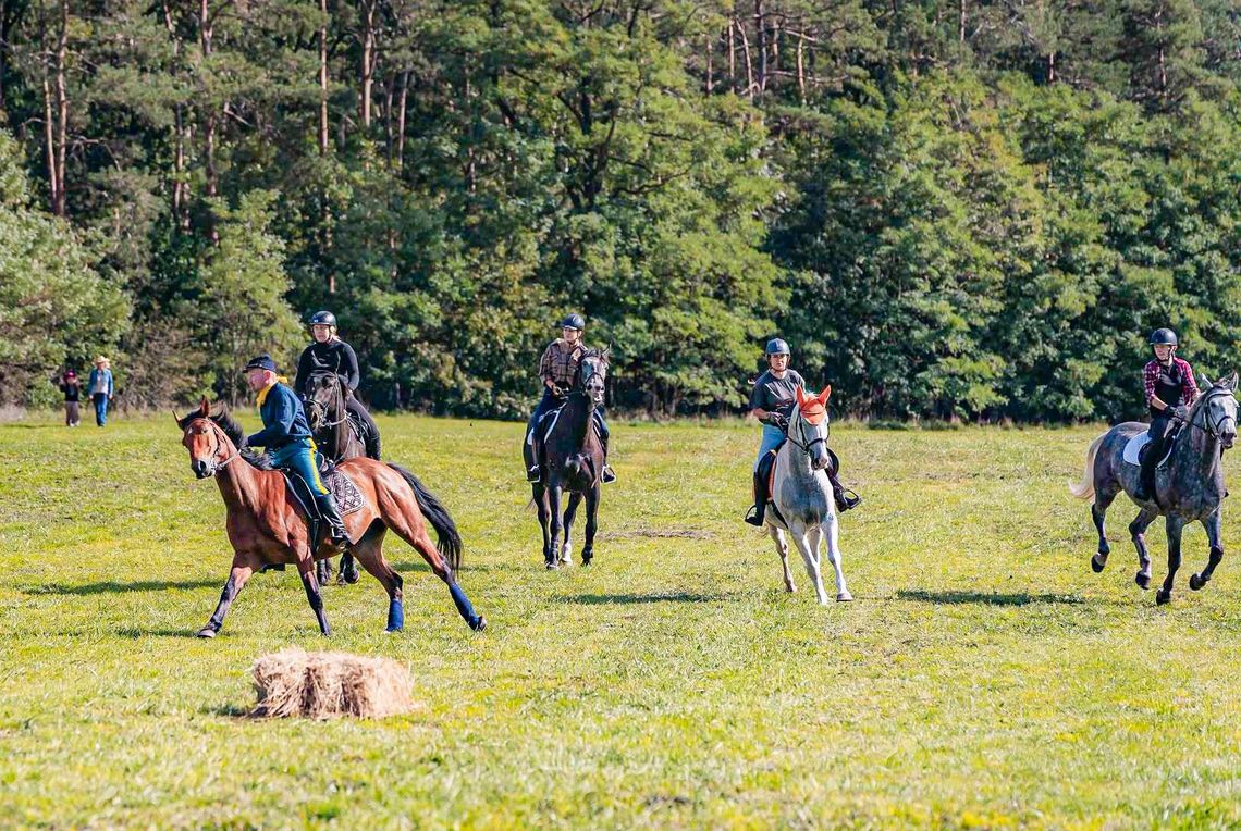 Hubertus w Suchej. Była konna gonitwa, moc atrakcji i zbiórka dla Marcela Hubertus w Suchej. Była konna gonitwa, moc atrakcji i zbiórka dla Marcela