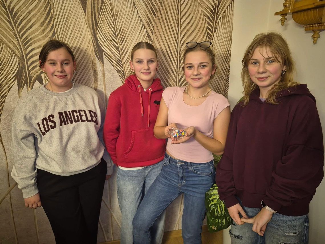 "Akcja Kamyk" z okazji WOŚP po raz drugi w gminie Ujazd. I nie tylko!