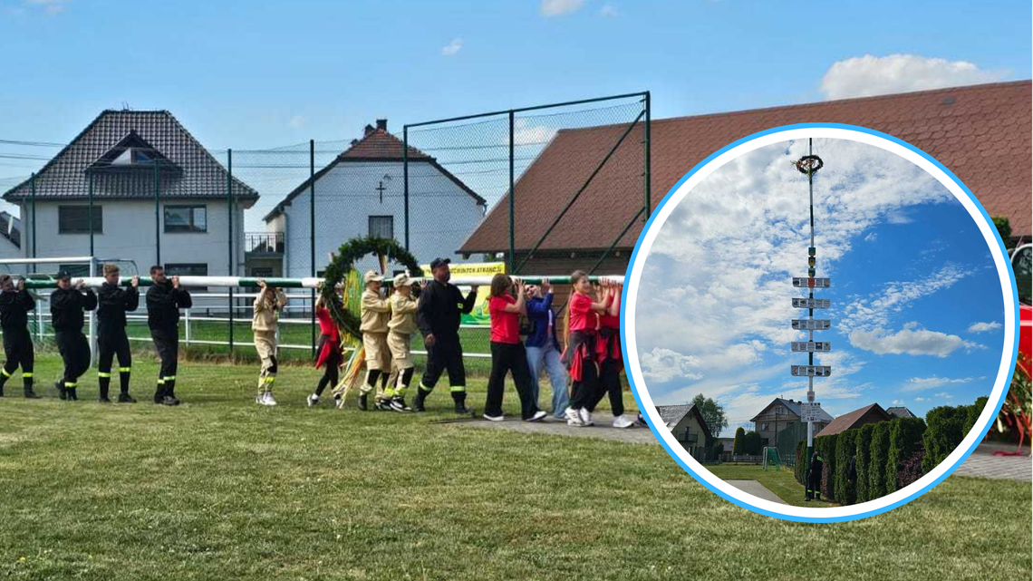 Maibaum w Boryczy. Drzewko miało w tym roku ponad 22 metry