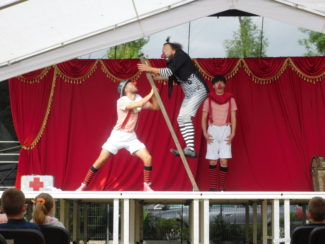 Klaun chciał wyrwać zęba Klaun chciał wyrwać zęba