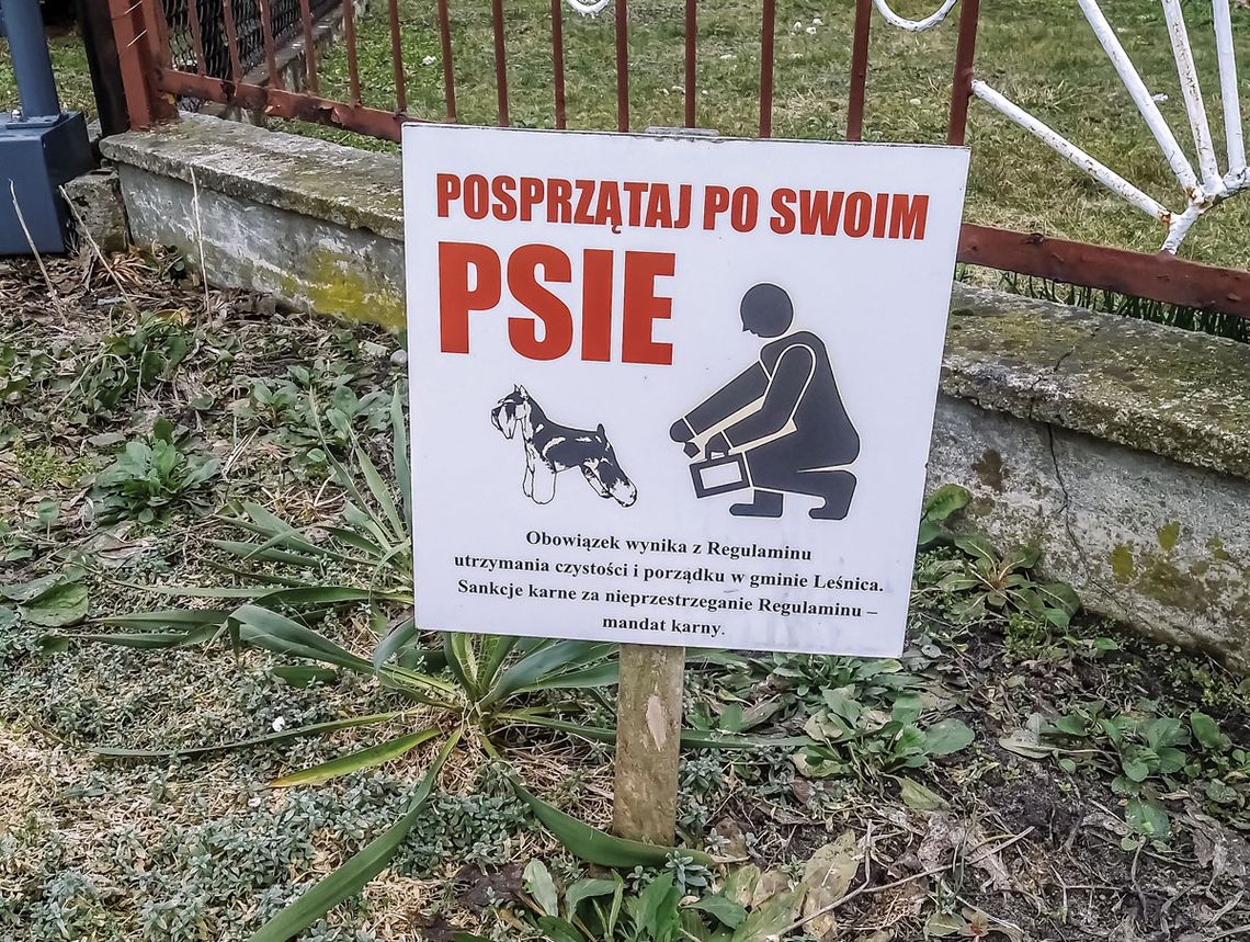 Kłopoty z psami czy ludźmi? Kłopoty z psami czy ludźmi?