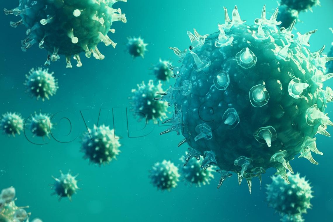 Koronawirus. 10 nowych przypadków