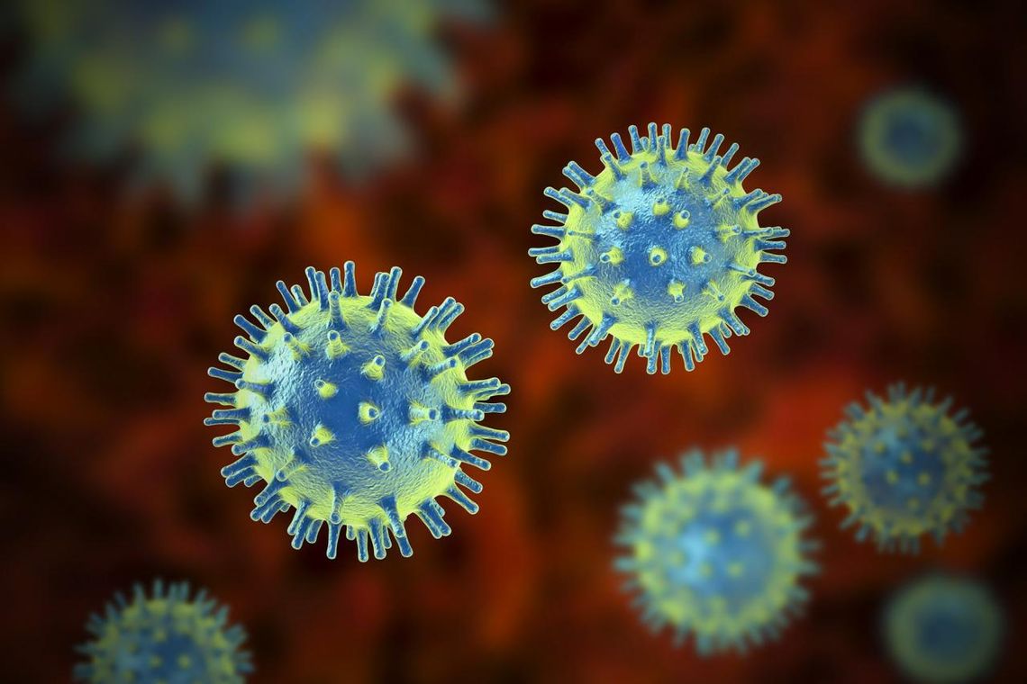 Koronawirus. Zakażona jest mieszkanka powiatu strzeleckiego