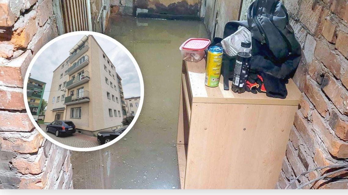 Koszmar lokatorów z Marka Prawego Koszmar lokatorów z Marka Prawego