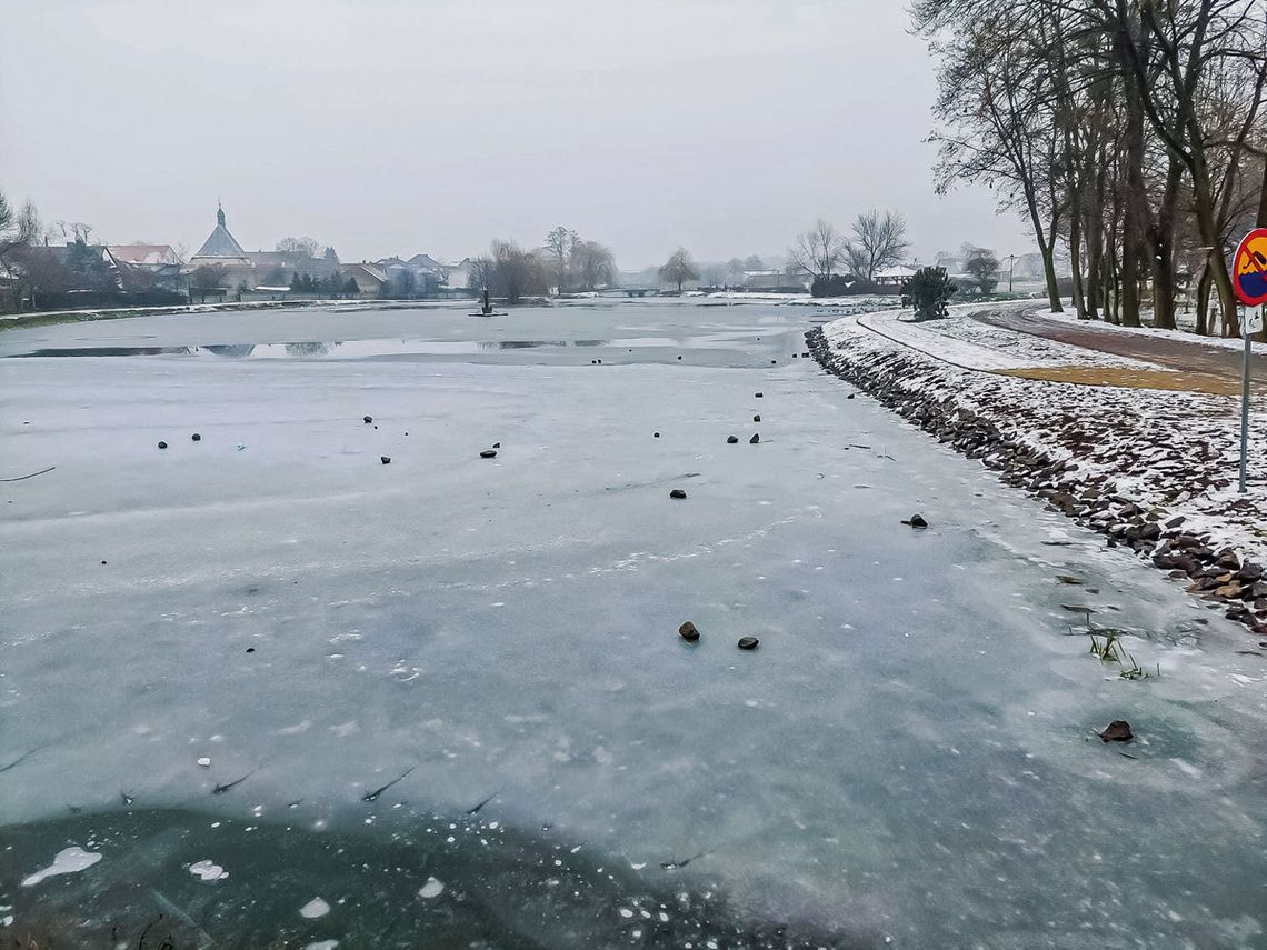 Kto dewastuje jemielnicki staw?